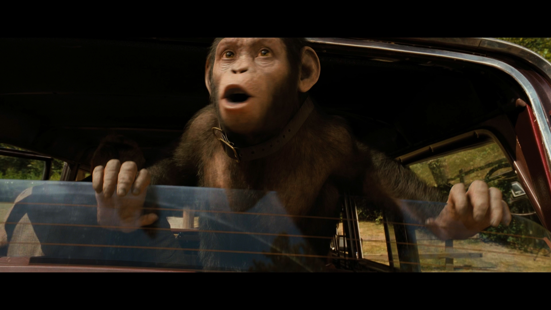 Still 2025 11 01 162729 1.5.3